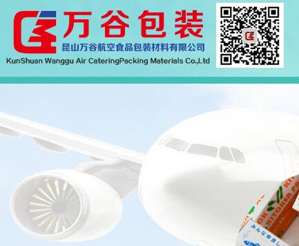 模版类网站普通存在的问题