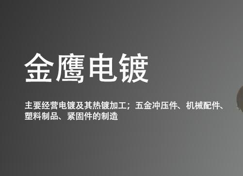 签约嘉兴金鹰电镀有限公司官网项目